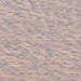 Berger-Seidle Classic ExpressStain Classic Grey colour swatch